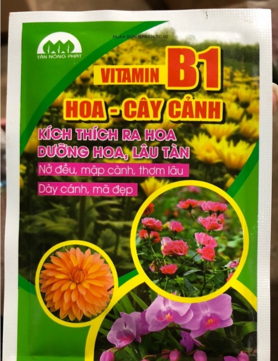 Vitamin B1 Hoa Hồng, Lan - Cây cảnh, kích thích ra hoa, dưỡng hoa lâu tàn