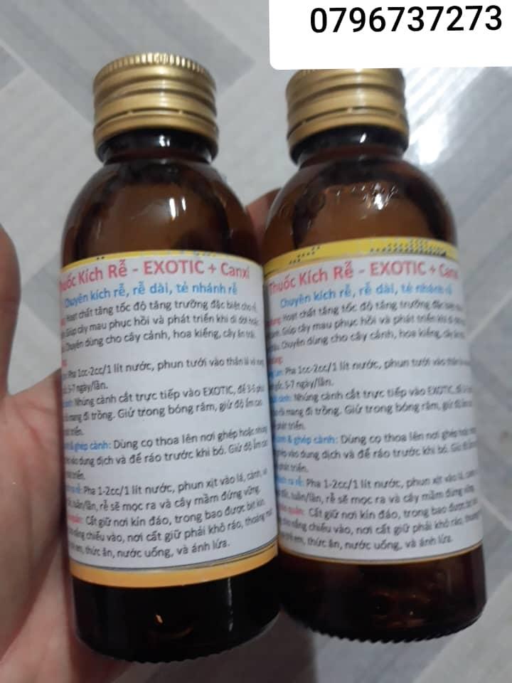 Thuốc kích rễ Exotic + canxi ( hàng Thái có hướng dẫn tiếng Việt)