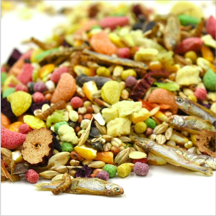 ✅Thức ăn protein dinh dưỡng, bổ sung protein cho chuột hamster