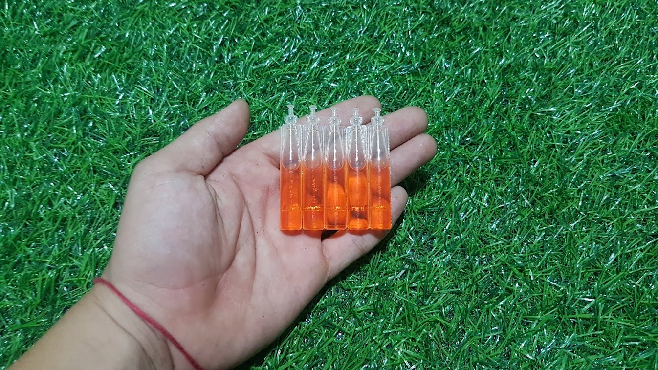 Dung dịch dẫn dụ ruồi