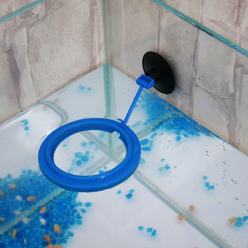 Vòng Giữ Thức Ăn Cho Cá Cảnh (Hàng Công Ty)-Vòng Tròn