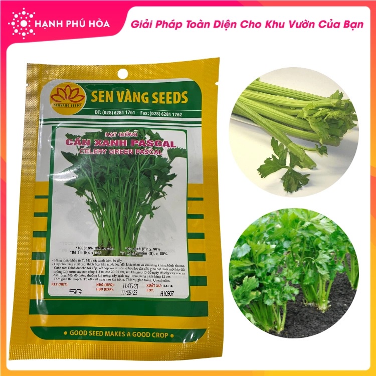 Gói 2gram hạt giống cần xanh pascal - sen vàng