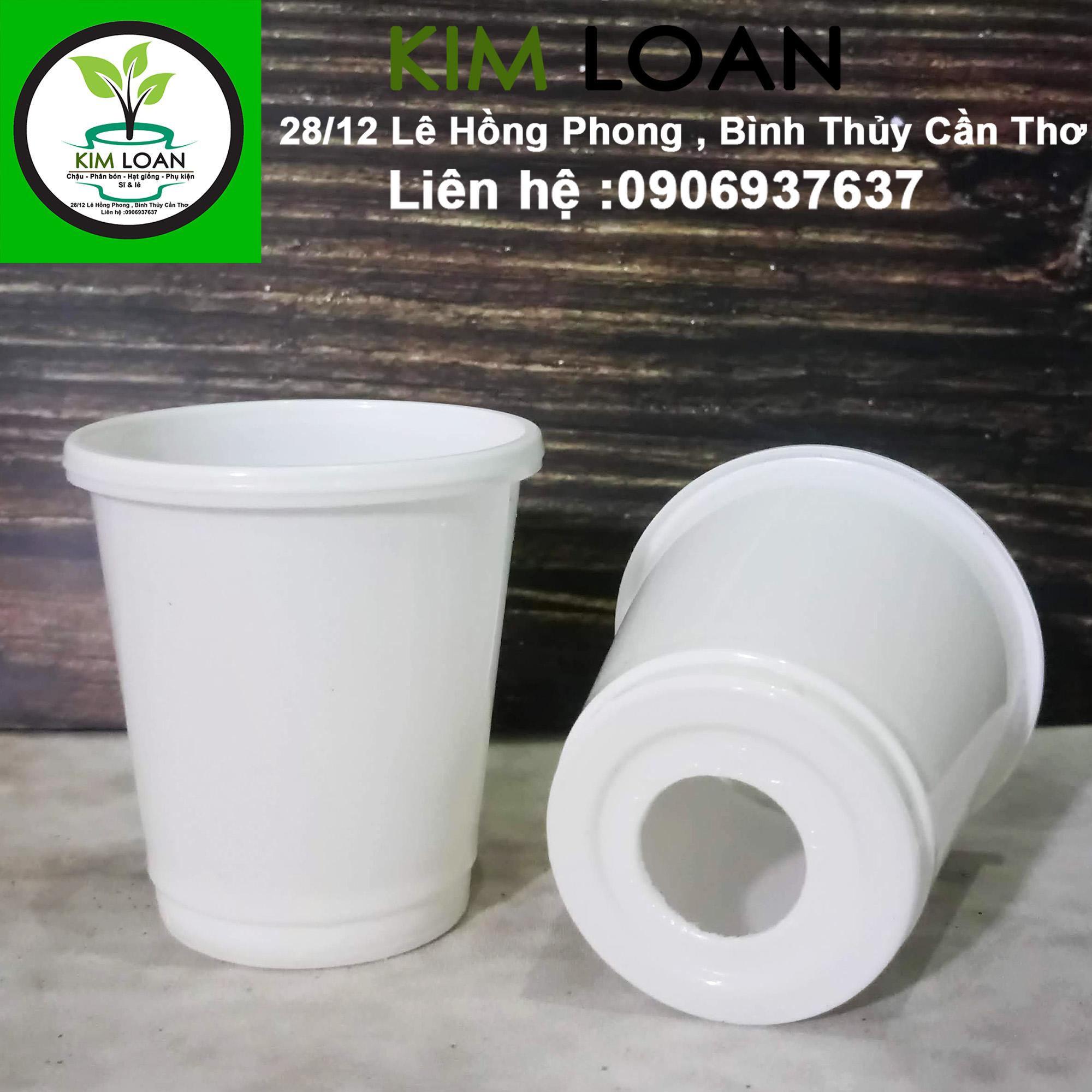 Combo 100 chậu nhựa tròn ươm cây 6x6cm
