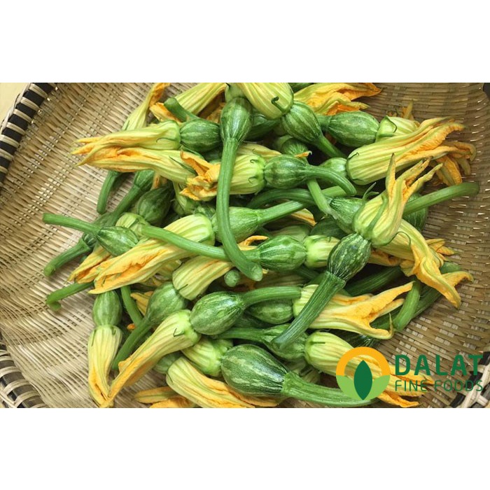 [SALE] Hạt giống Bí ăn nụ TN - HGVT1
