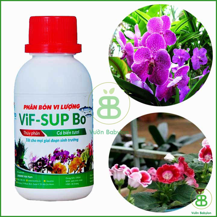 Phân Bón Vi Lượng Thủy Phân Cá Biển VIF SUP Bo Chai 100ml