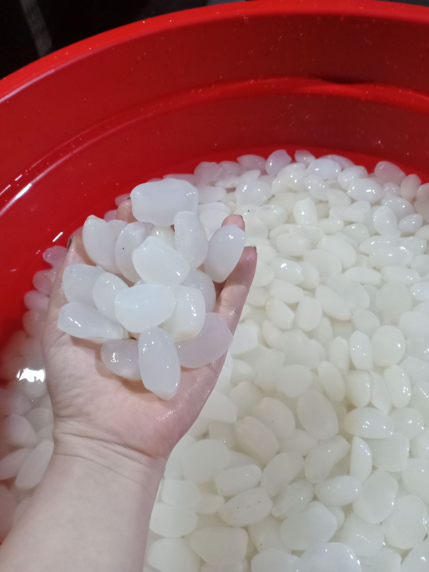 Hạt đác tươi loại trung 1kg