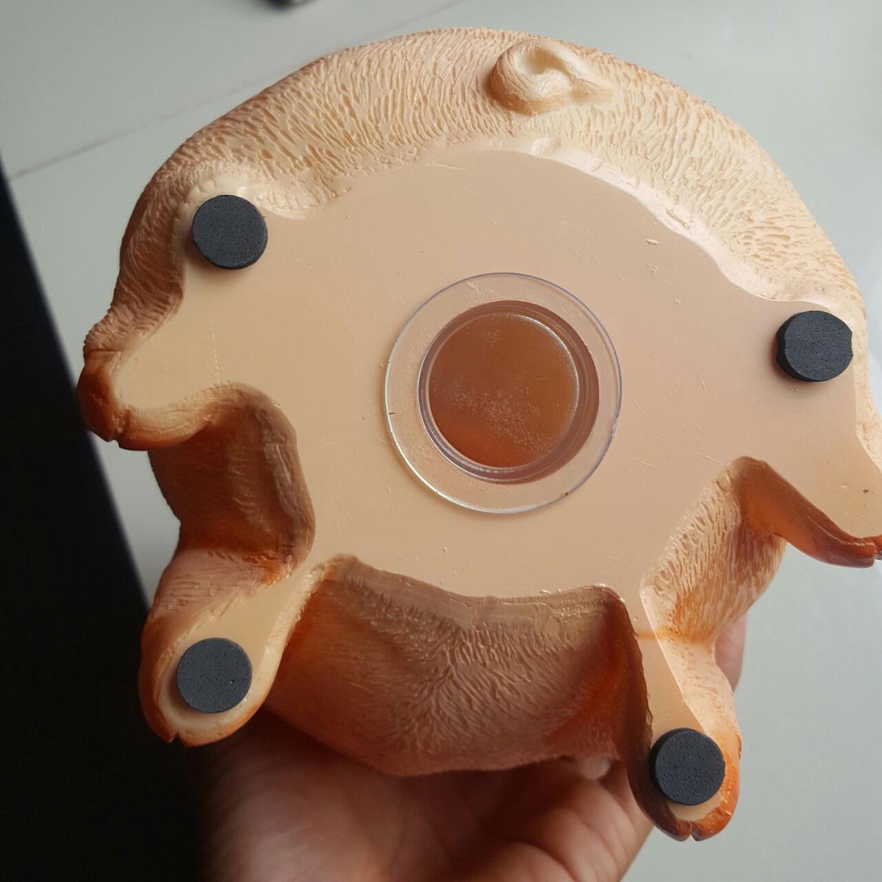 Heo Nhựa tiết kiệm tiền 5D