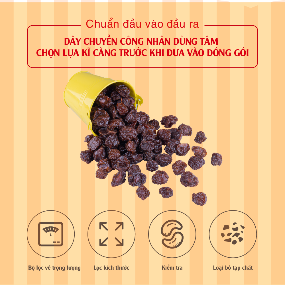 [Chính hãng] Anh đào khô nhập khẩu 100g Dan D Pak