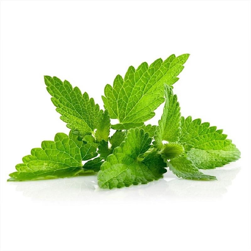 Hạt giống Bạc hà (Menthol) Peppermint Golden Seeds 10 Hạt