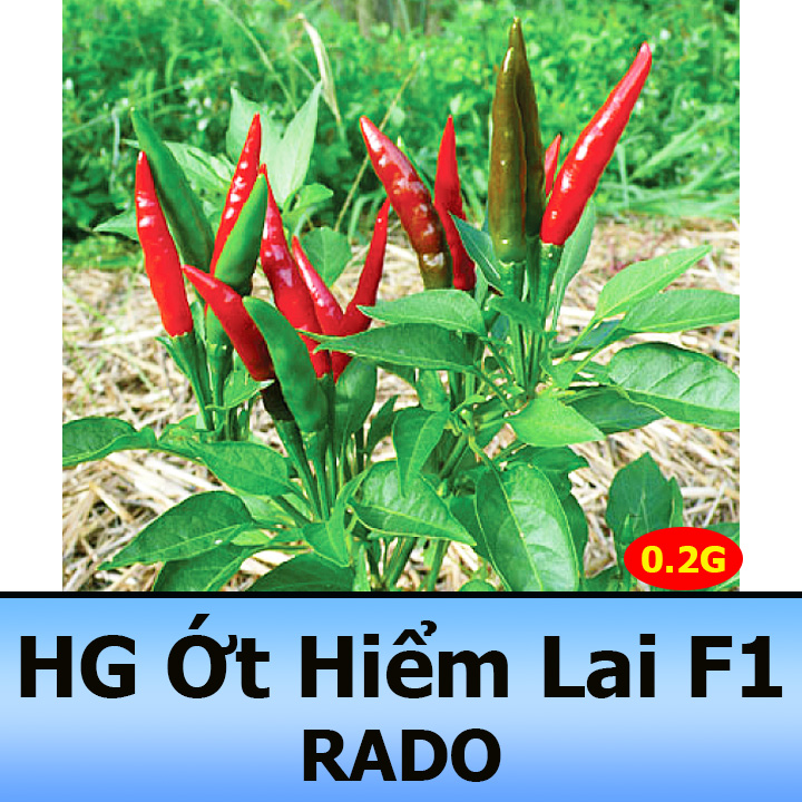 Hạt Giống Ớt Hiểm Sai trái 0,2G