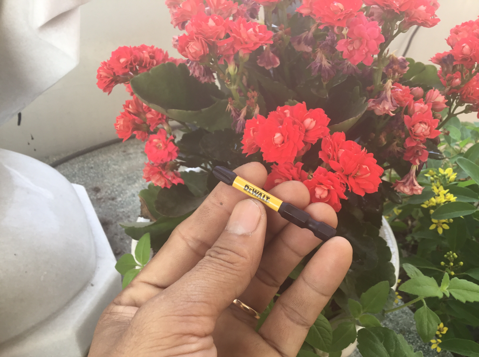 [HCM]Mũi Vít DeWalt Chính Hãng ph3-58mm