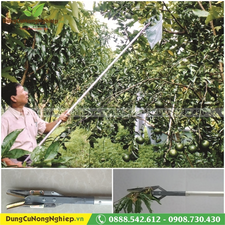 Phụ kiện kẹp trái kéo Phước Lộc