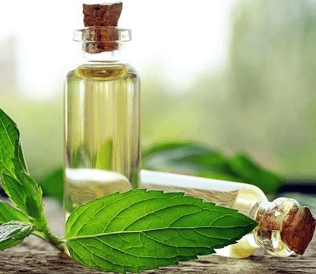 [HCM]Tinh dầu bạc hà Sala Oil