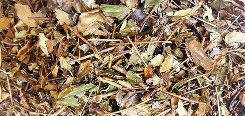 chè vằng khô 1kg