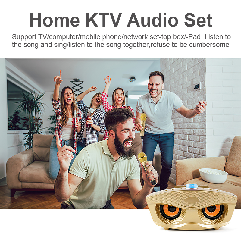 Loa Bluetooth Karaoke SDRD SD 306 Plus Bản Mới Nhất,Kèm 2 Micro Karaoke Không Dây,Chất Lượng âm Thanh Tuyệt Vời