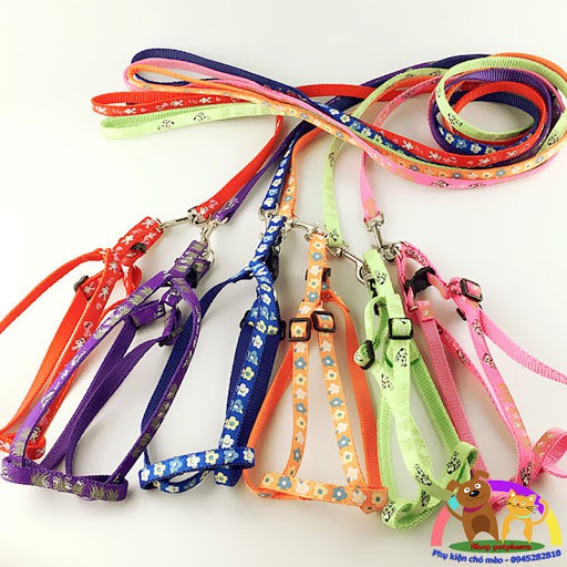 Dây Yếm Dắt Chó Mèo (Mỏng 1cm) - Inbox để chọn màu