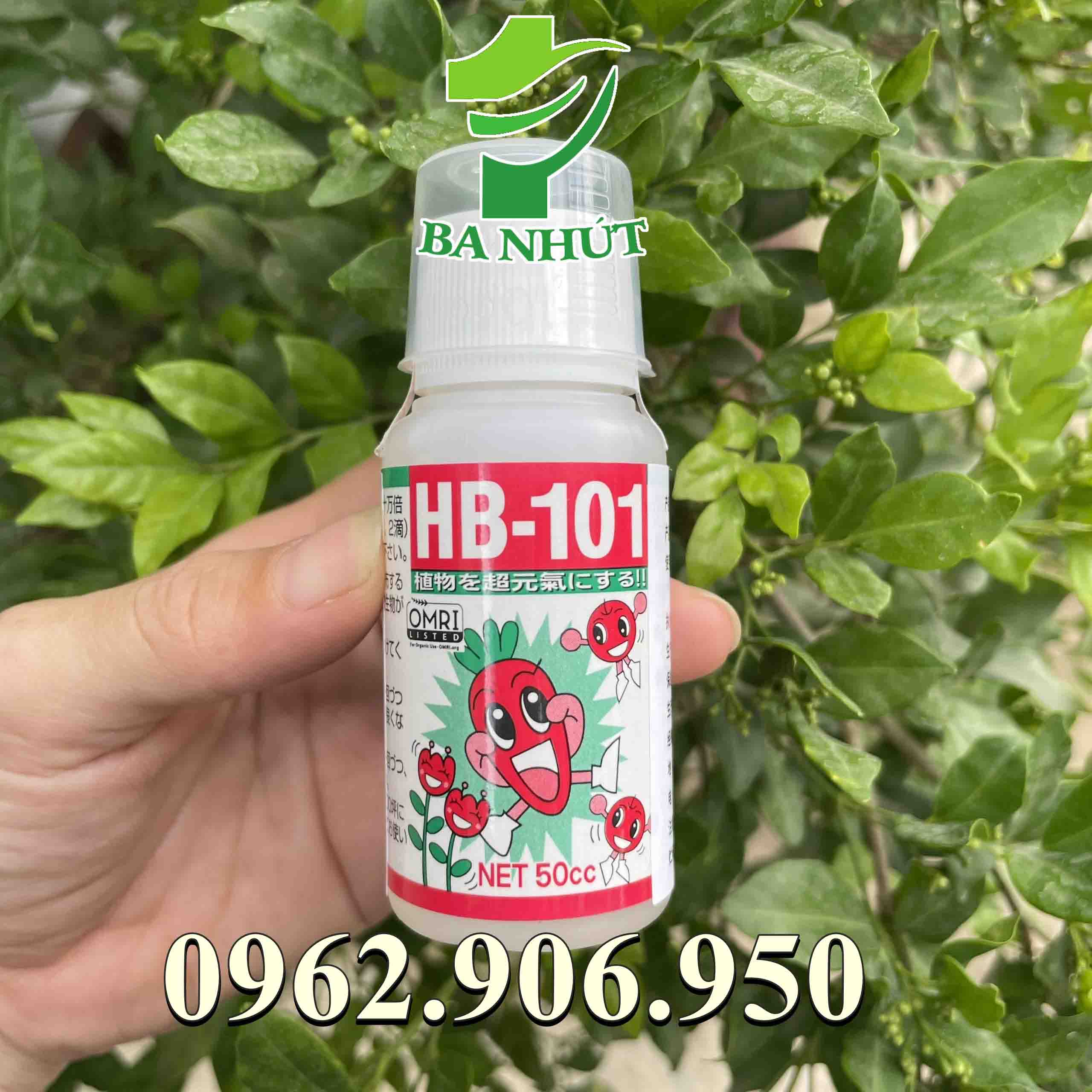 Hb 101 50ml nhật bản siêu kích rễ, phục hồi cây suy yếu, tăng cường ra rễ và thúc đẩy hồi phục cây suy yếu