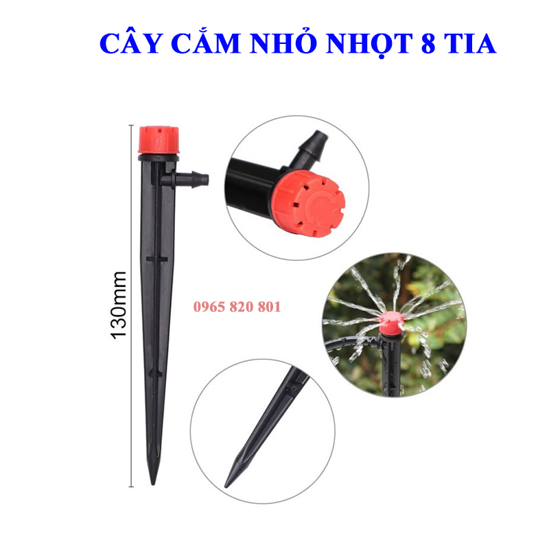 10 cây cắm nhỏ giọt 8 tia
