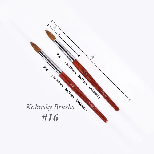 cọ đắp hoa đắp bột Kolinsky Germany số 12, 14, 16, 18, 20