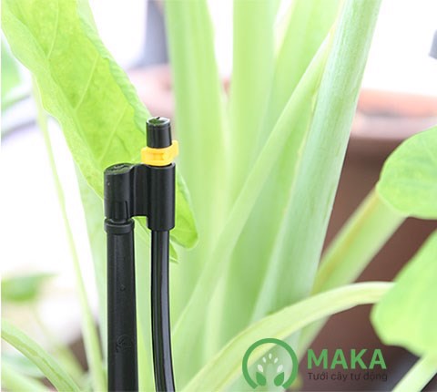ĐẦU TƯỚI PHUN SƯƠNG MIST JETS