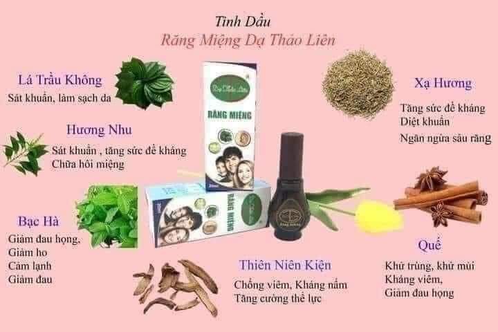Tinh dầu răng miệng DẠ THẢO LIÊN