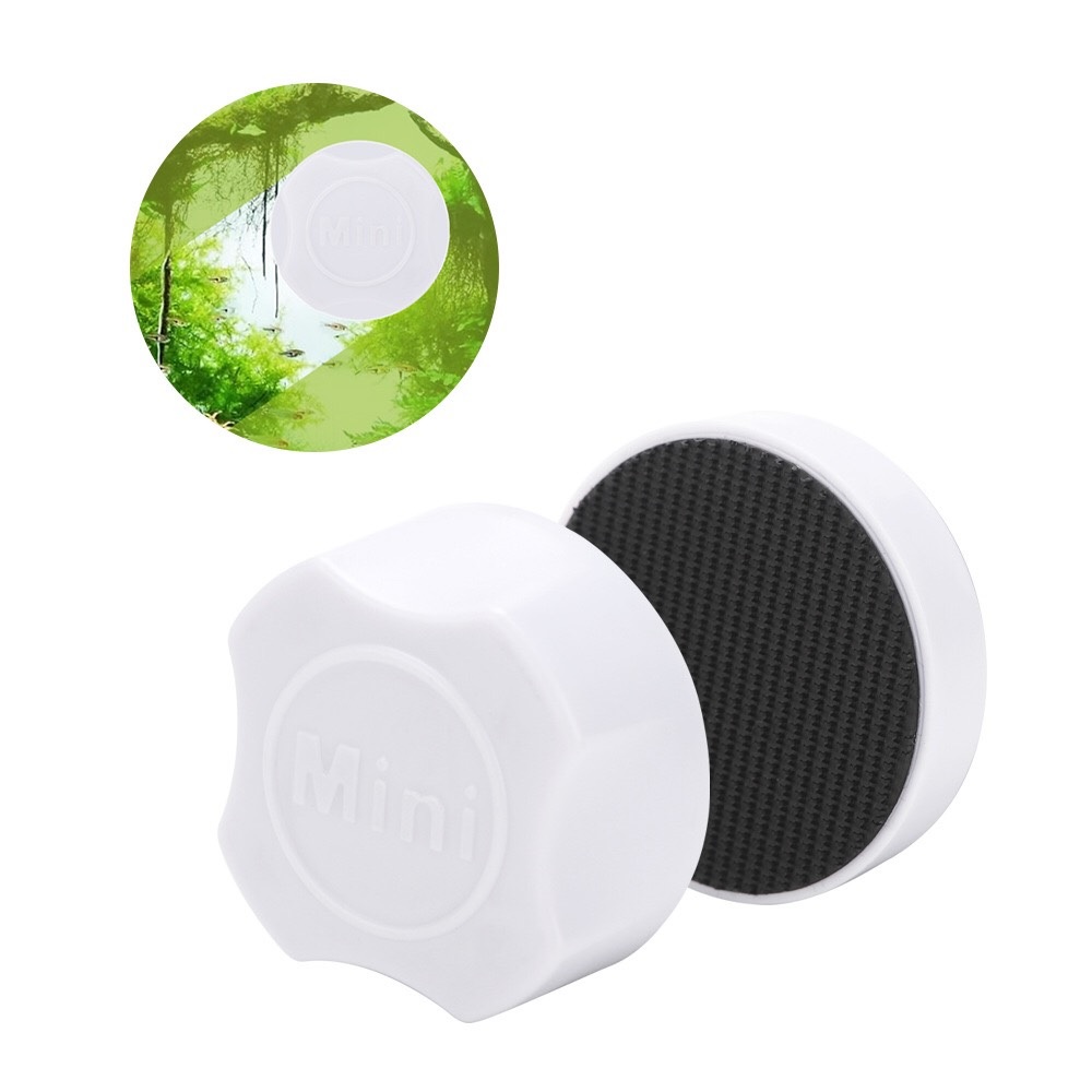 Nam Châm Cọ Bể Mini - Màu đen
