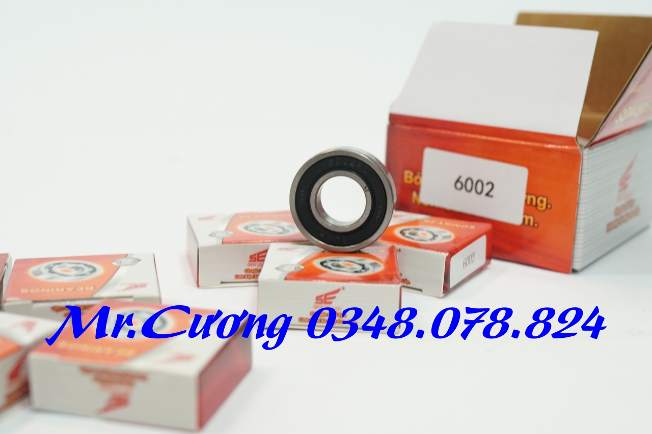 Vòng bi (bạc đạn) xe máy 6905