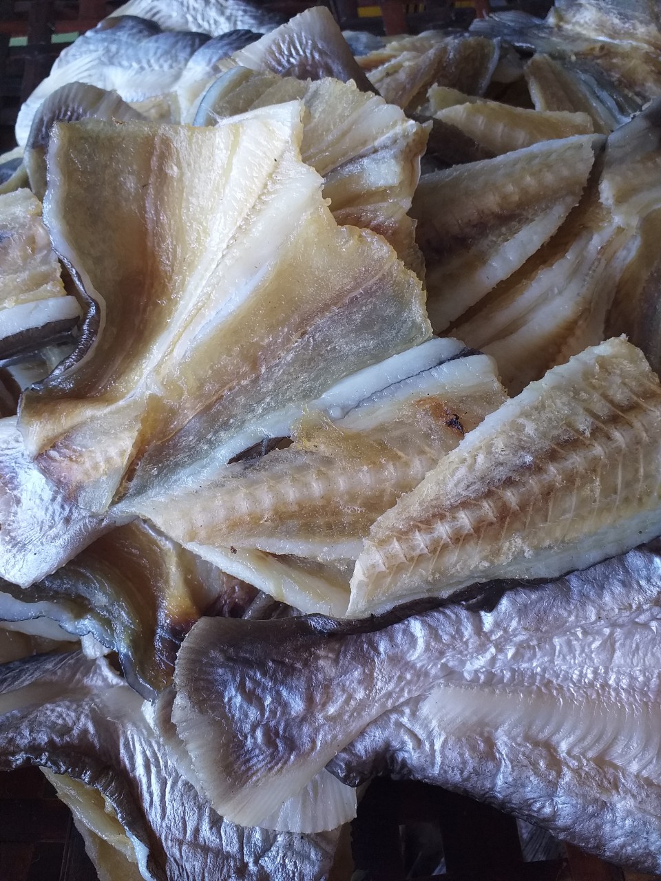 500G KHÔ CÁ DỨA PHẦN ĐUÔI NGON TUYỆT