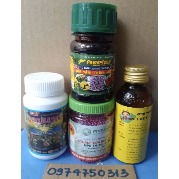 Set 4 loại sản phẩm chăm bón cho hoa lan