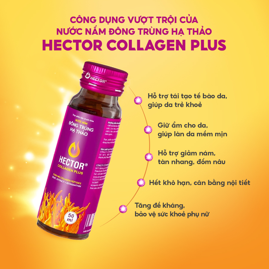 NƯỚC NẤM ĐÔNG TRÙNG HẠ THẢO HECTOR COLLAGEN PLUS (hộp 10 chai)
