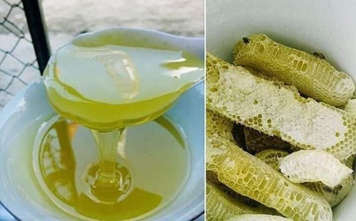 1 LÍT MẬT ONG HOA BẠC HÀ