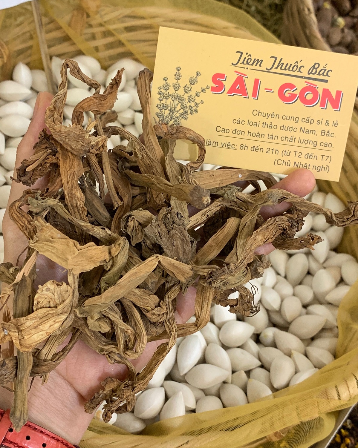Bông Cà Dược 100gram