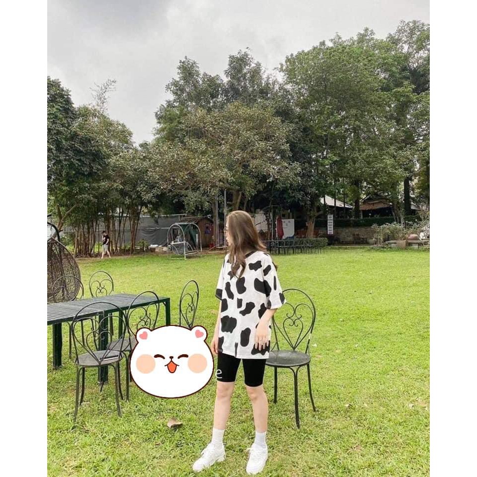 Sét áo phông bò sữa + quần legging ngố HARI