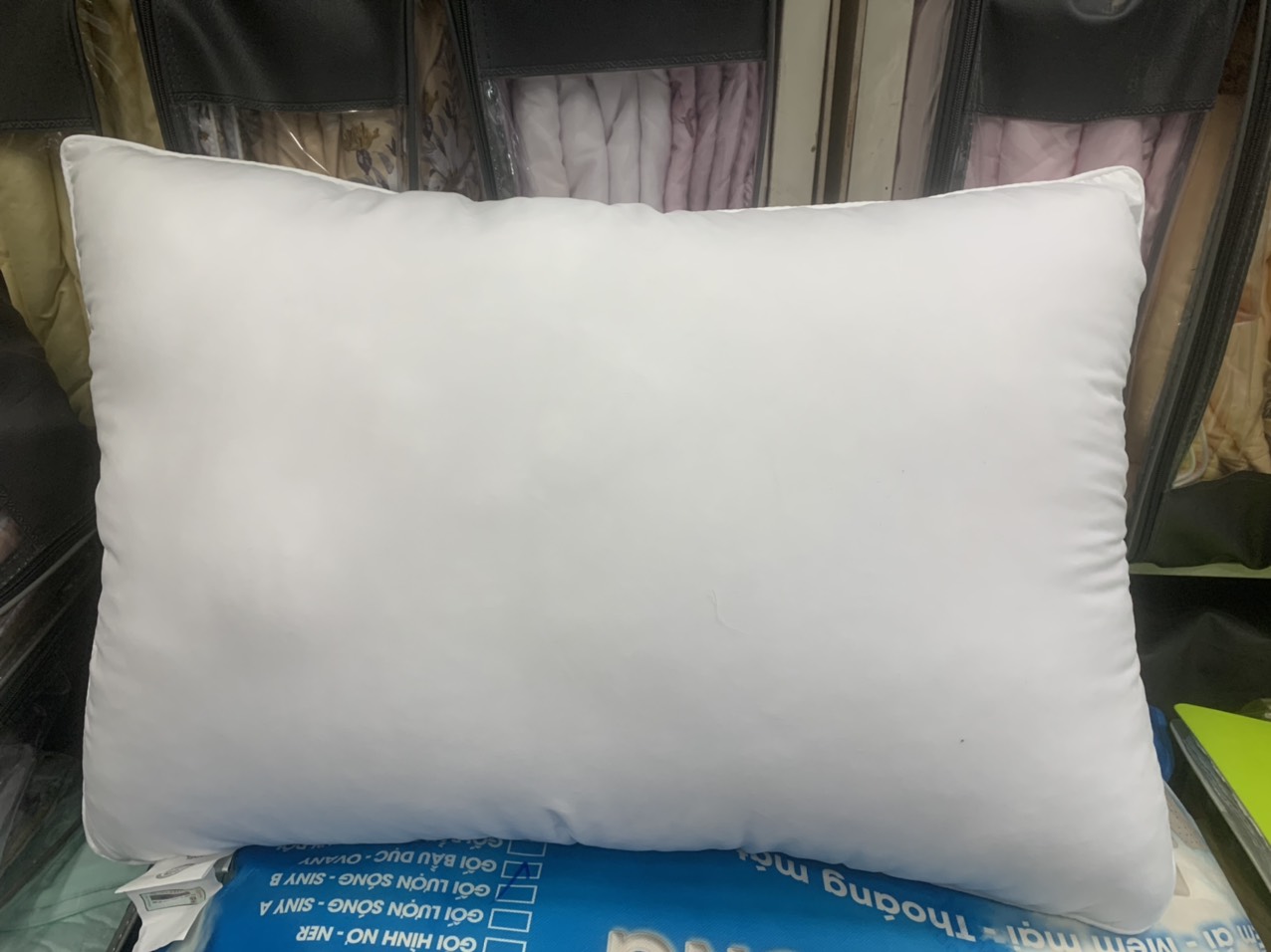 Ruột gối nằm Everon