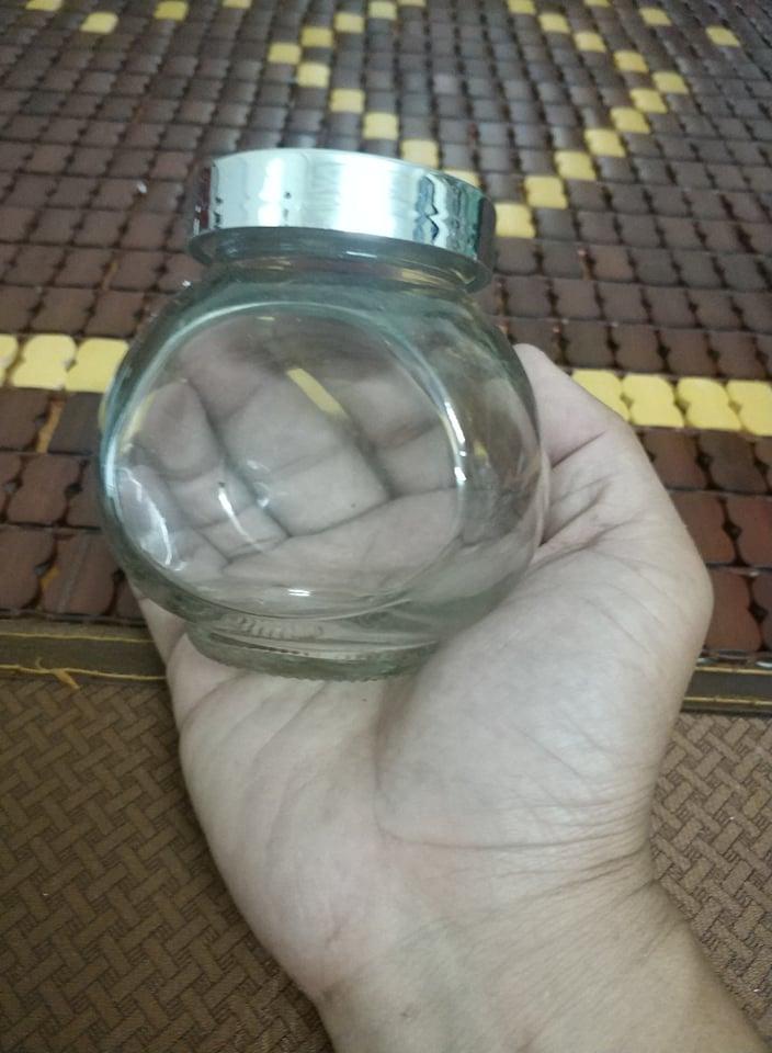 [HCM]Marimo tảo thủy sinh Nhật Bản