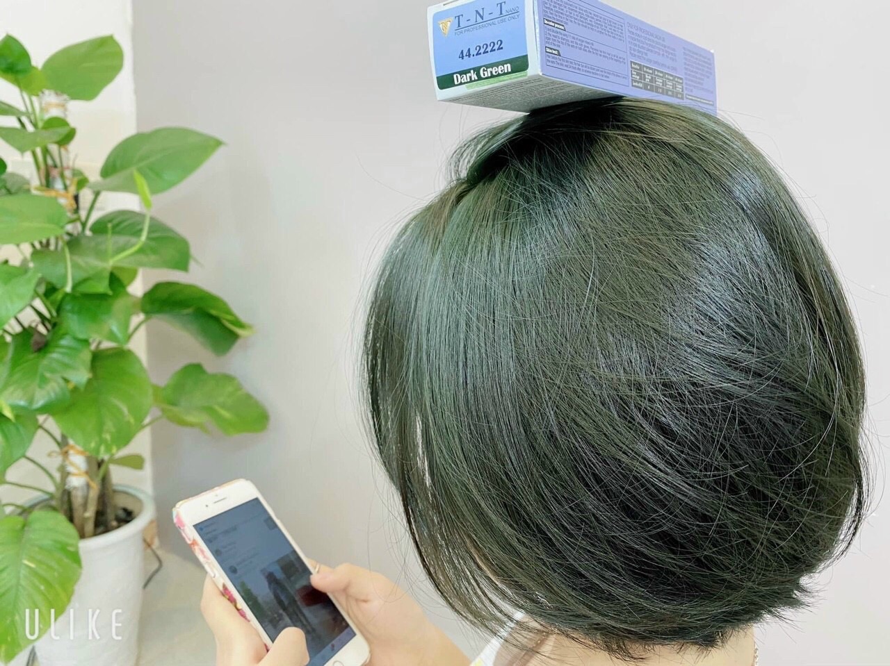 [HCM]Thuốc nhuộm tóc TNT