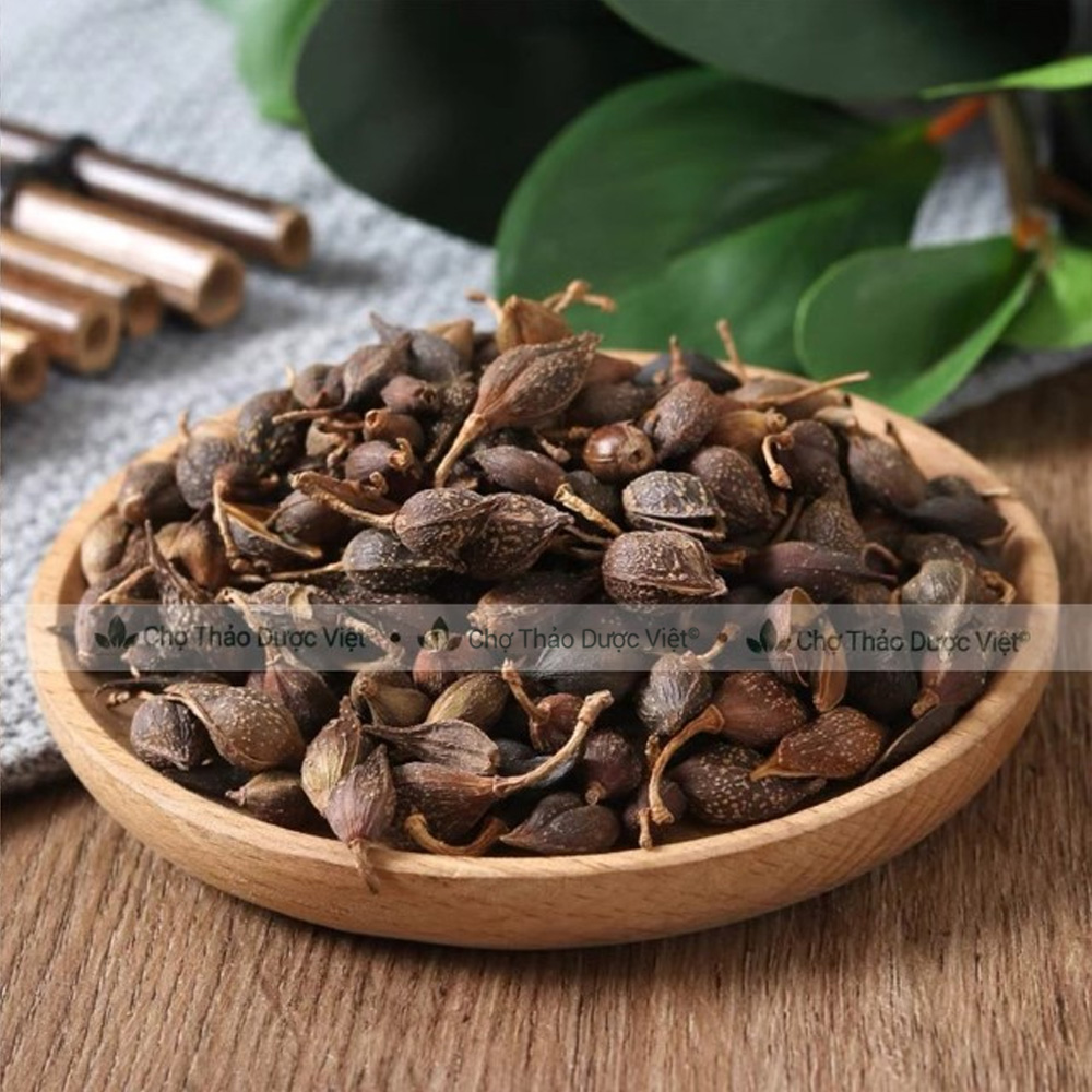 Liên kiều 300g, quả liên kiều, hạ liên tử, khô, thơm, sạch - Chợ Thảo Dược Việt