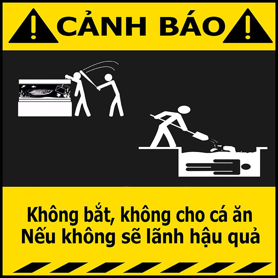 Decal Cảnh Báo Vui Nhộn Dán Hồ Cá