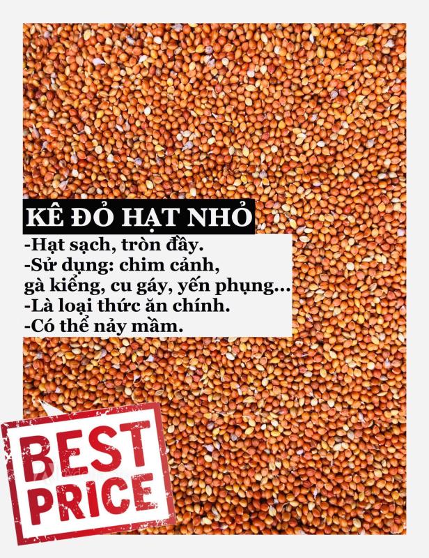 1KG KÊ ĐỎ HẠT NHỎ (THỨC ĂN CHO CHIM CẢNH, YẾN PHỤNG, GÀ KIỂNG, CU GÁY)