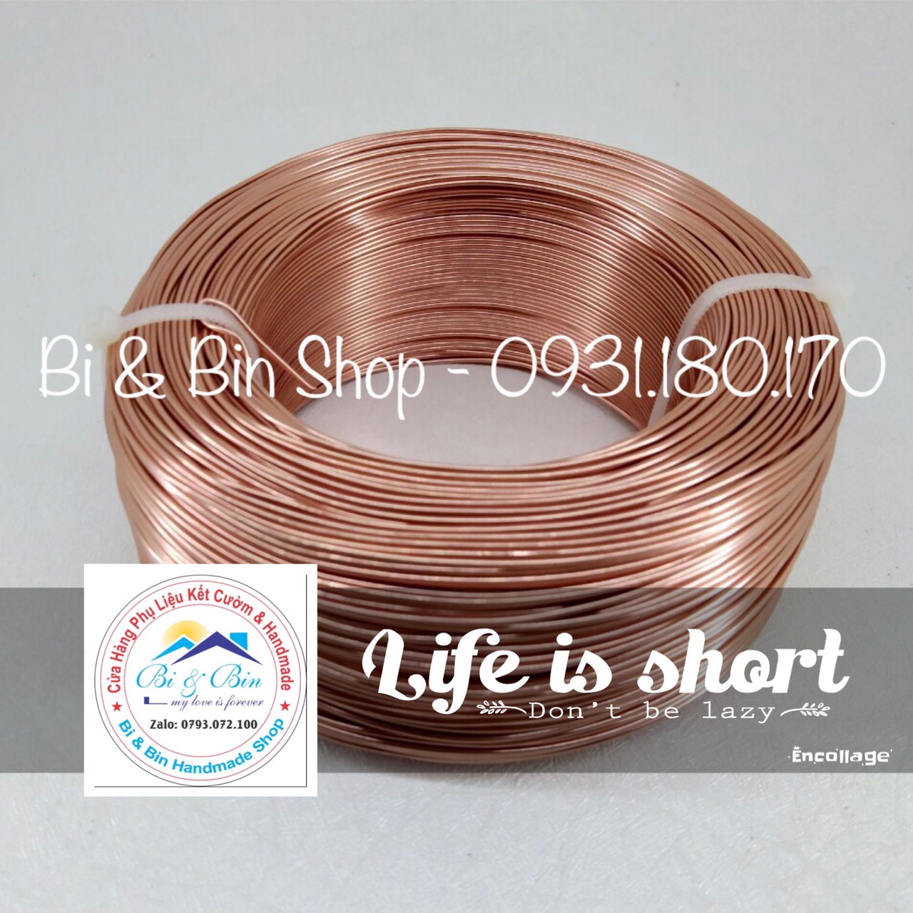 [HCM]Cuộn 100g Dây Nhôm Màu 0.8mm Làm Bonsai Handmade