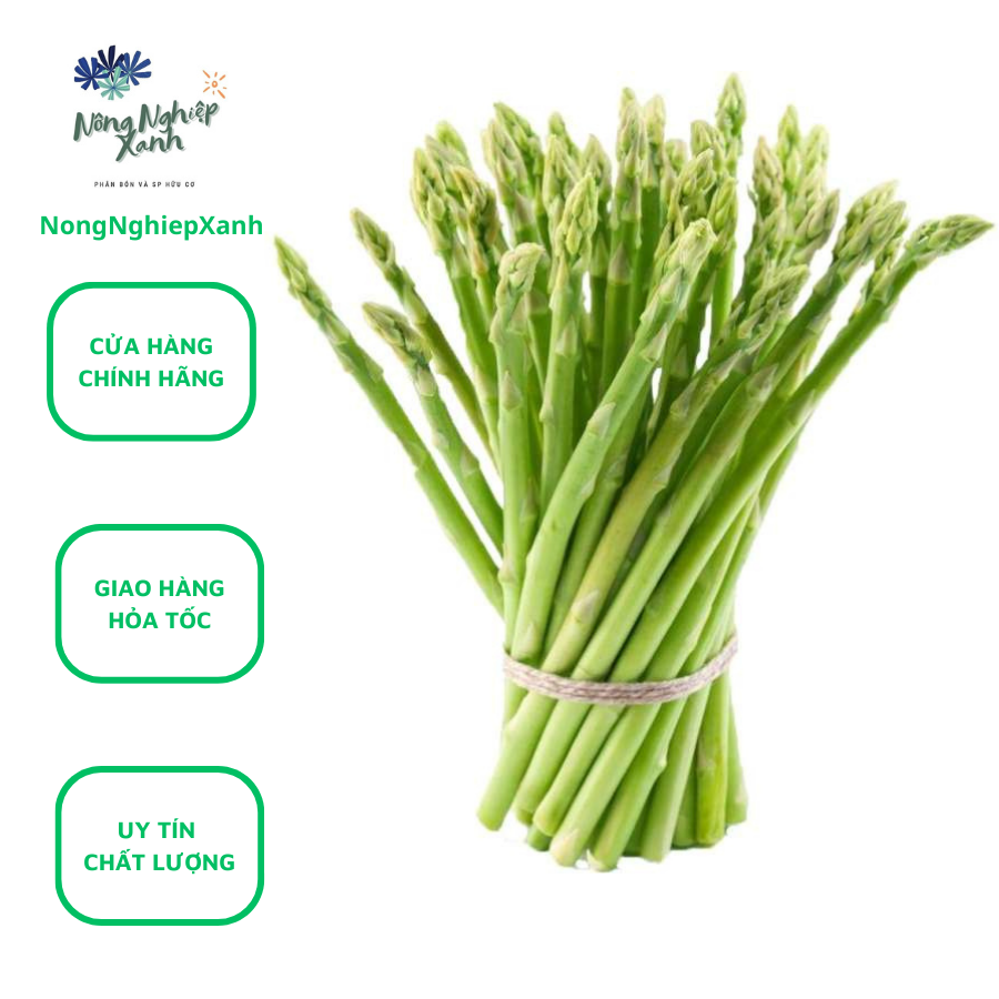 Premium 0.5gr green asparagus seeds