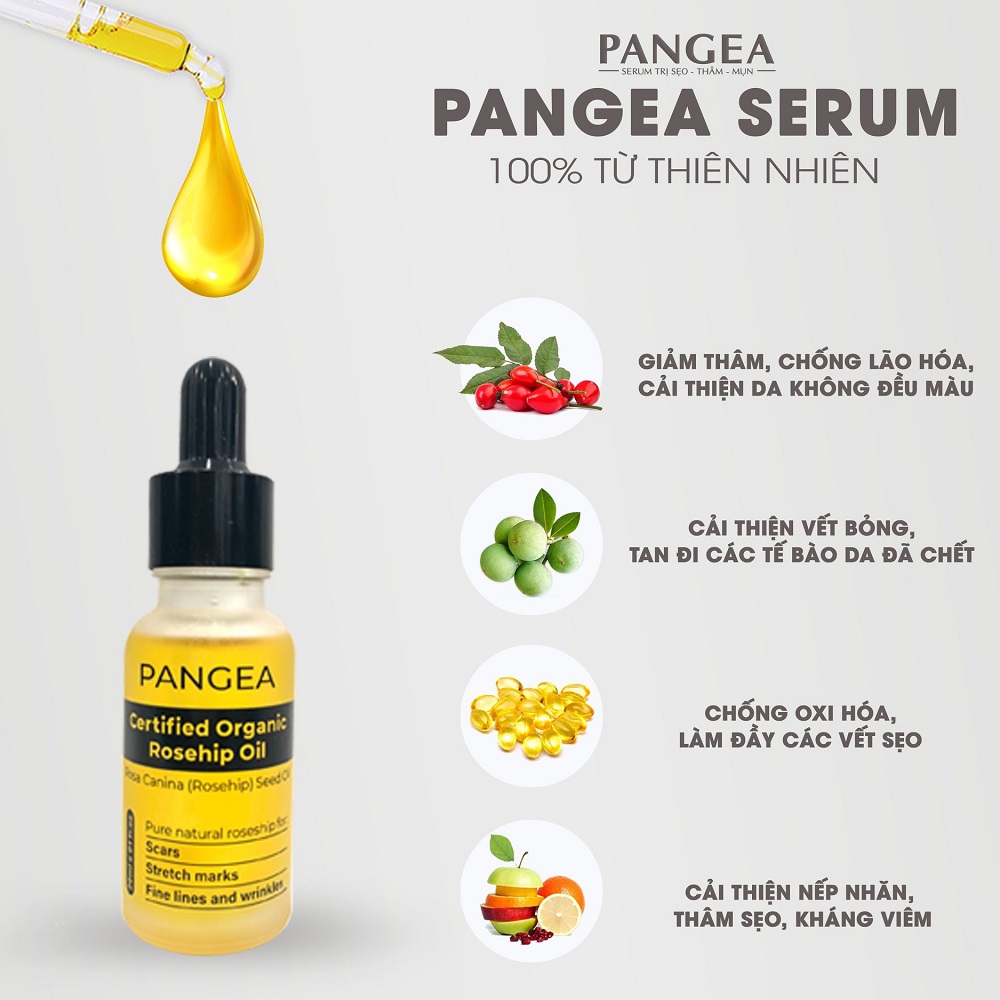 [HCM]Serum PANGEA - Xóa Sẹo Chuyên Sâu 20ml