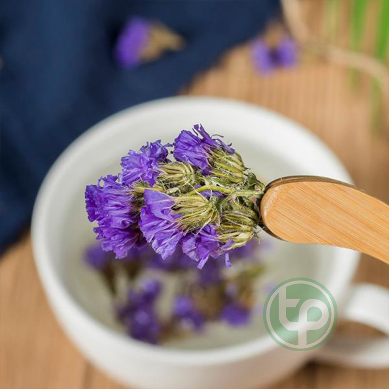 [Hàng loại 1] Hoa lưu ly khô hàng công ty chất lượng túi lớn loại 1kg - Thảo Dược Tấn Phát