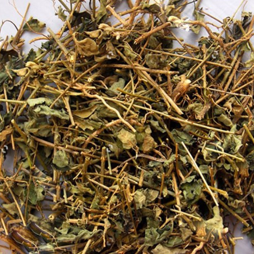 Cà gai leo 1kg
