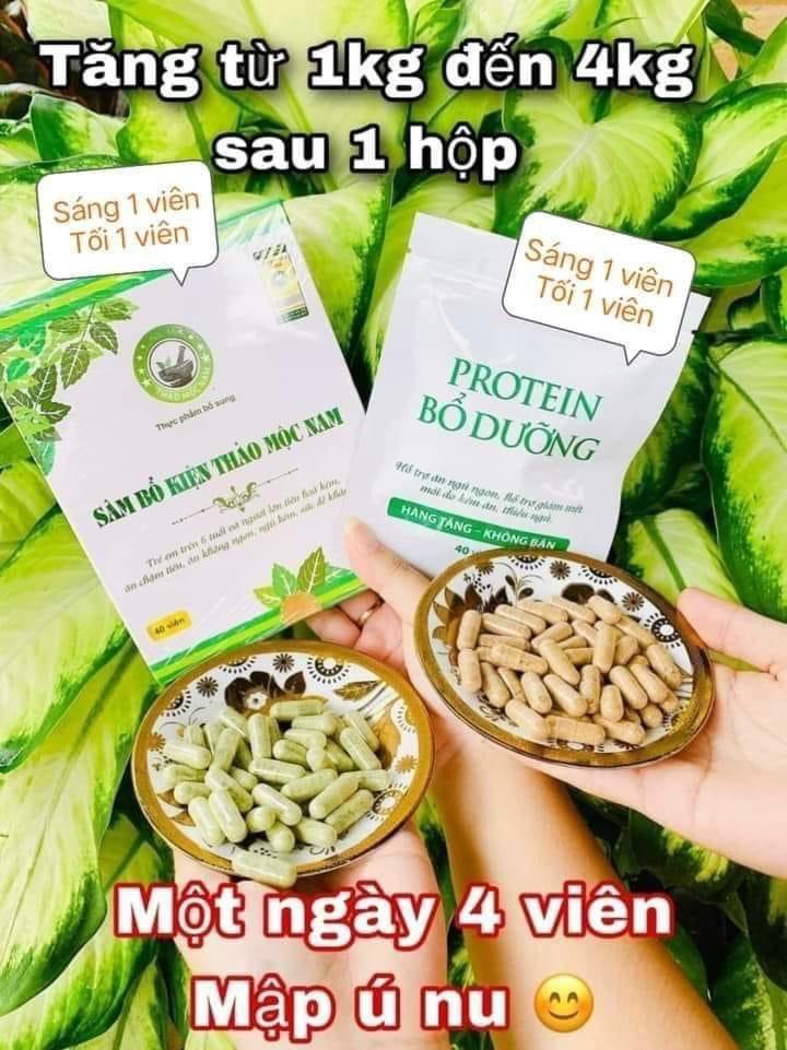 Sâm Bổ Kiện Thảo Mộc Nam - Mẫu Mới Tặng PROTEIN
