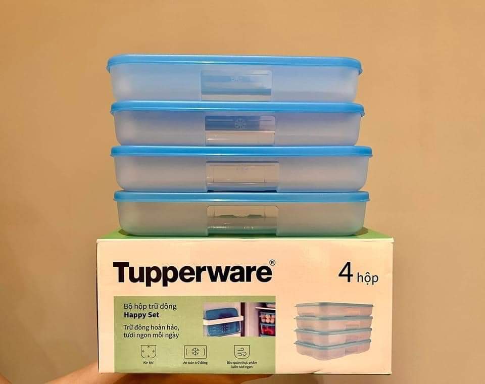 Bộ hộp trữ đông Happy Set 550ml (4 hộp) - Tupperware