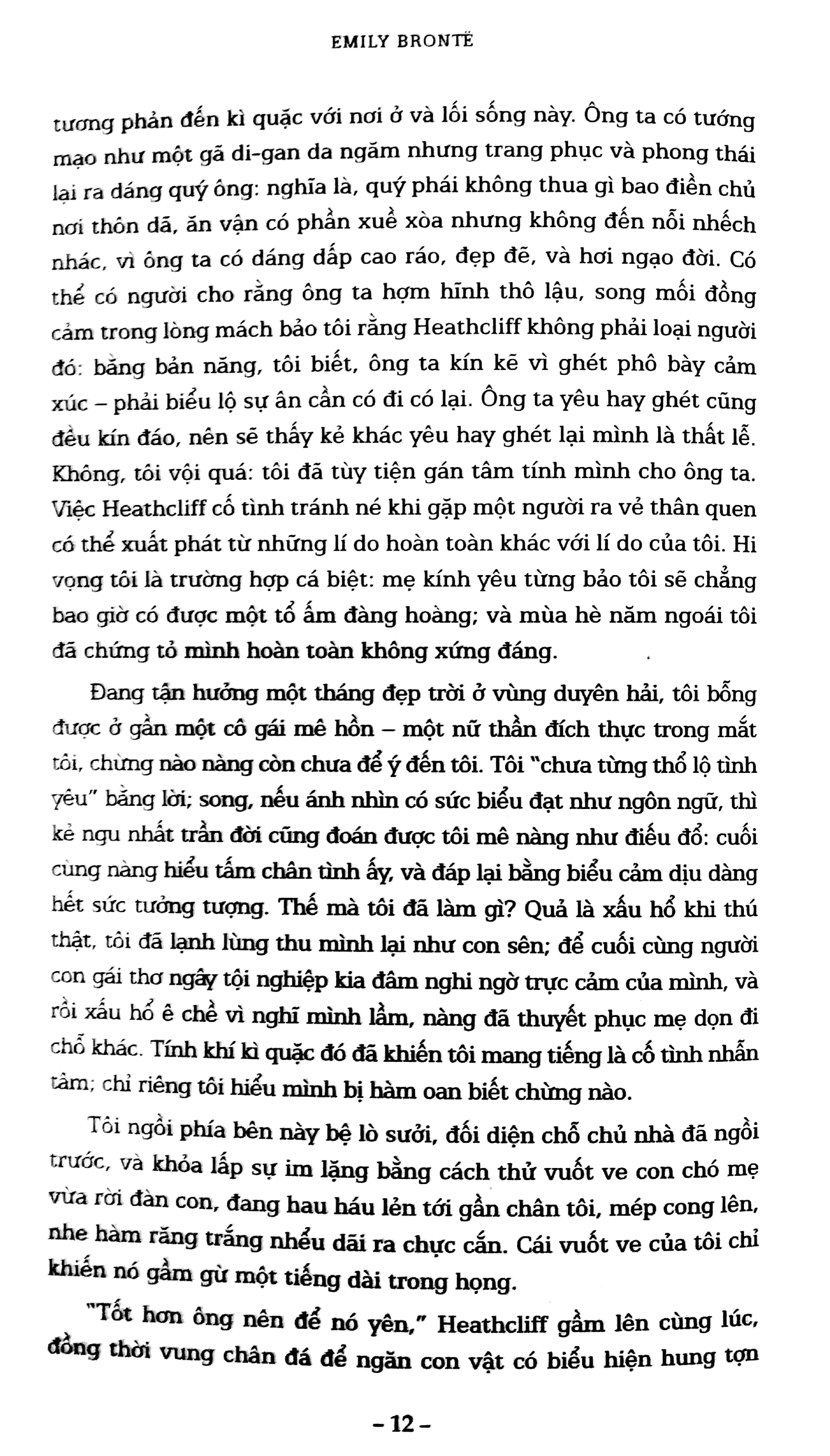 Sách Fahasa - Đỉnh Gió Hú (Bìa Mềm)