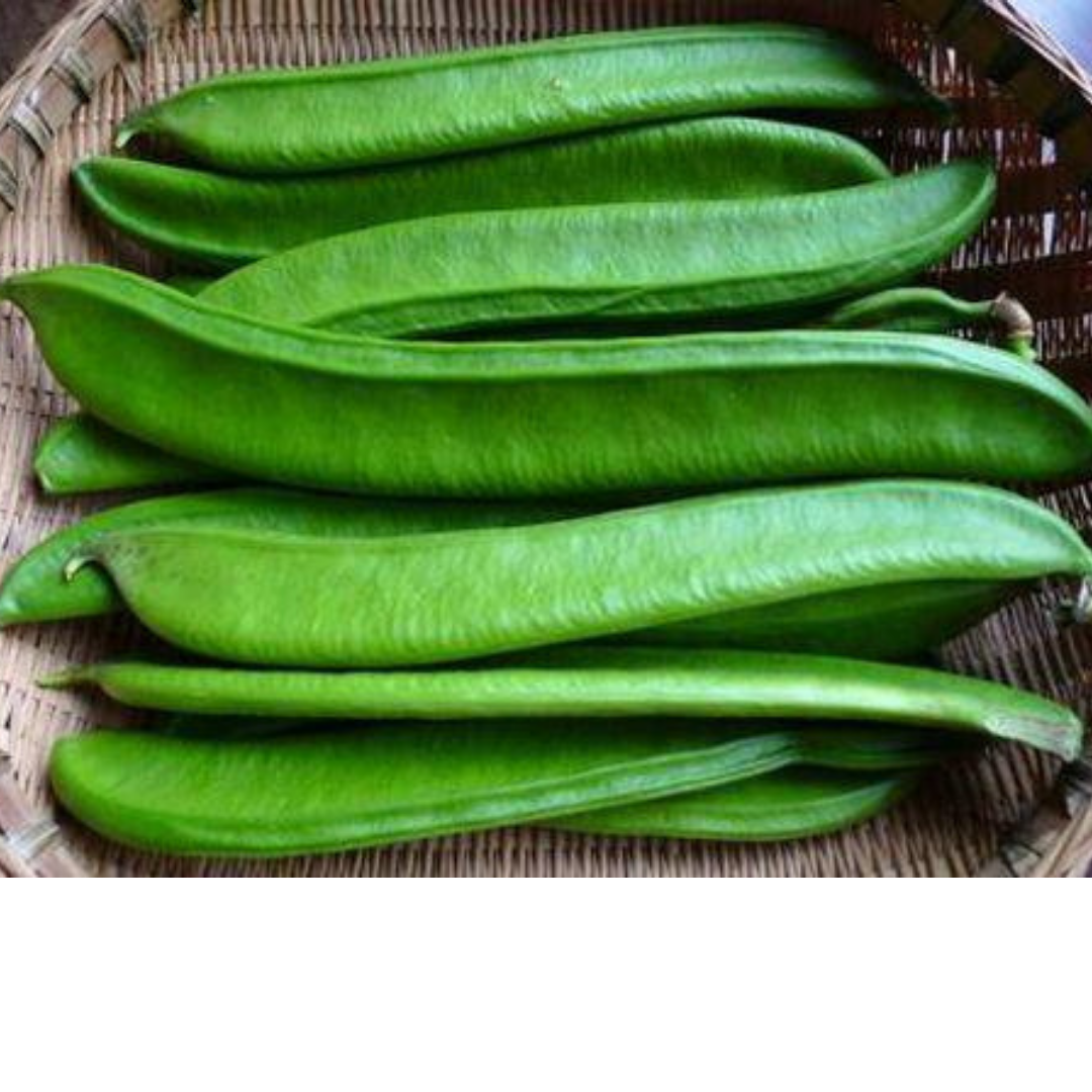 5H_HẠT GIỐNG ĐẬU KIẾM/ ĐẬU RỰA (SIÊU DỄ TRỒNG)