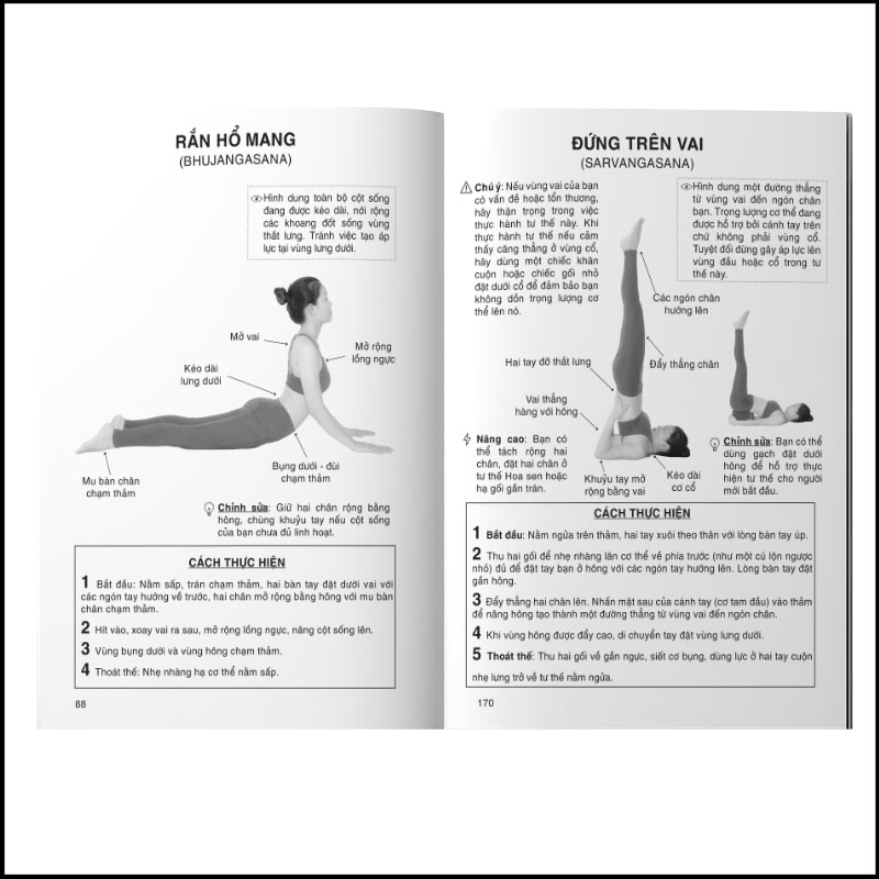 Combo sách cơ bản cho giáo viên: Giáo án giảng dạy và luyện tập yoga + Những bài dẫn thiền hay dành cho giáo viên yoga