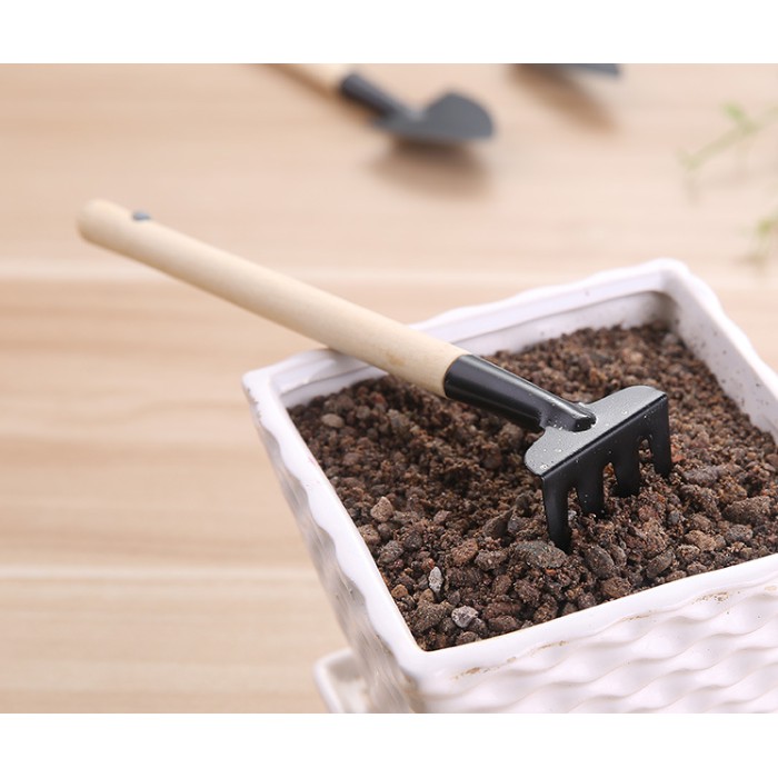 Bộ Dụng Cụ Làm Vườn Mini 3 Món Tiện Dụng A92